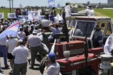 El Gobierno sacó el tope para exportar maíz y el campo levantaría el paro
