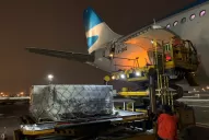 Esta noche partirá a Moscú el cuarto vuelo de Aerolíneas Argentinas para traer vacunas