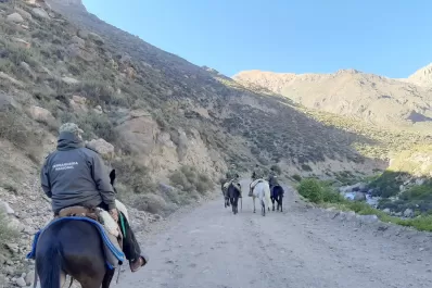 Trasladaban animales y se perdieron en la cordillera