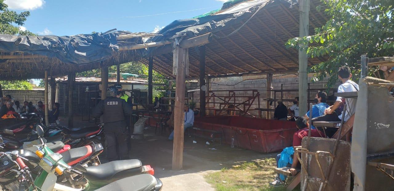 La casa estaba acondicionada como un estadio para riña de gallos. 
