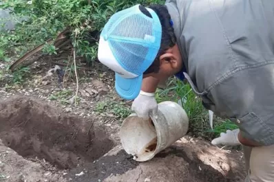 Dengue: realizan controles en las inmediaciones del hospital Avellaneda