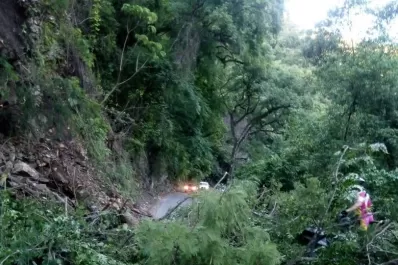 Se desbarrancaron árboles sobre la ruta 338, camino a San Javier, y piden precaución