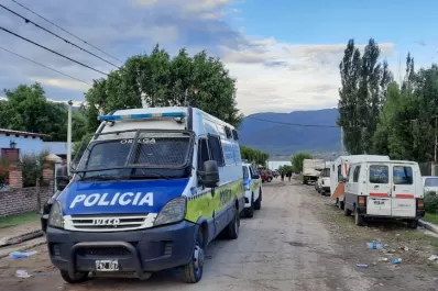 En lo que va de enero, se denunciaron 15 delitos por día