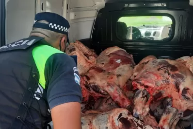 El Mollar: sorprenden a un conductor que transportaba carne en forma irregular