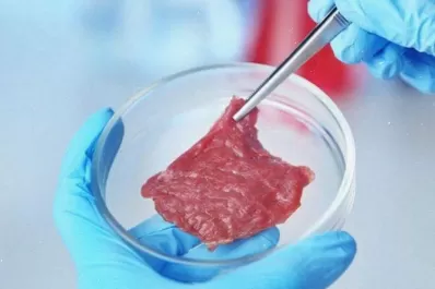 Desarrollan en Canadá una nueva forma de carne cultivada