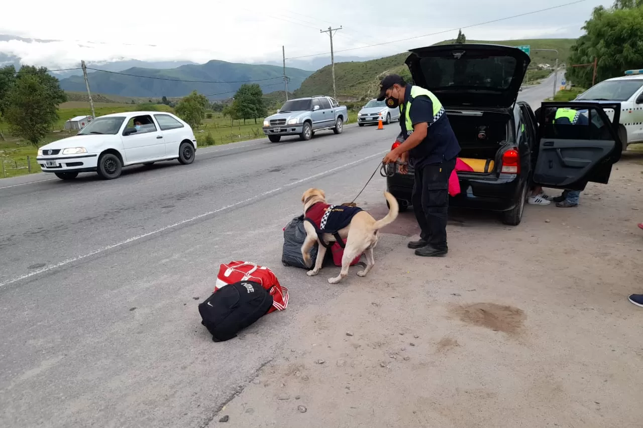 EN ACCIÓN. Se pudo ver a Fran, guiado por el agente Lazarte, en los controles de El Mollar. Foto: Ministerio de Seguridad