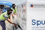 Amnistía Internacional pidió una asignación transparente de vacunas y solicitó una reunión con Vizzotti