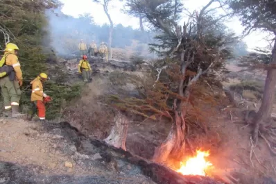 Un voraz incendio ya arrasó 1000 hectáreas en Río Negro