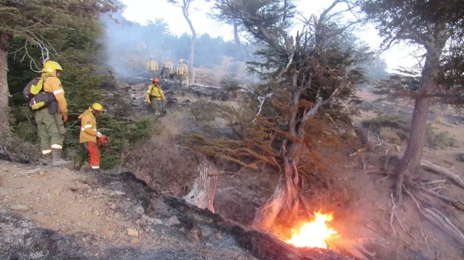 ASÍ COMBATEN EL INCENDIO. FOTO DIARIO RIO NEGRO. 