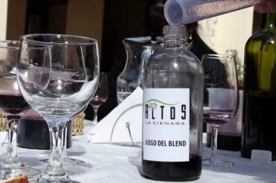 Qué hacer en Tafí del Valle en estas vacaciones: la oportunidad de convertirte en enólogo por un día