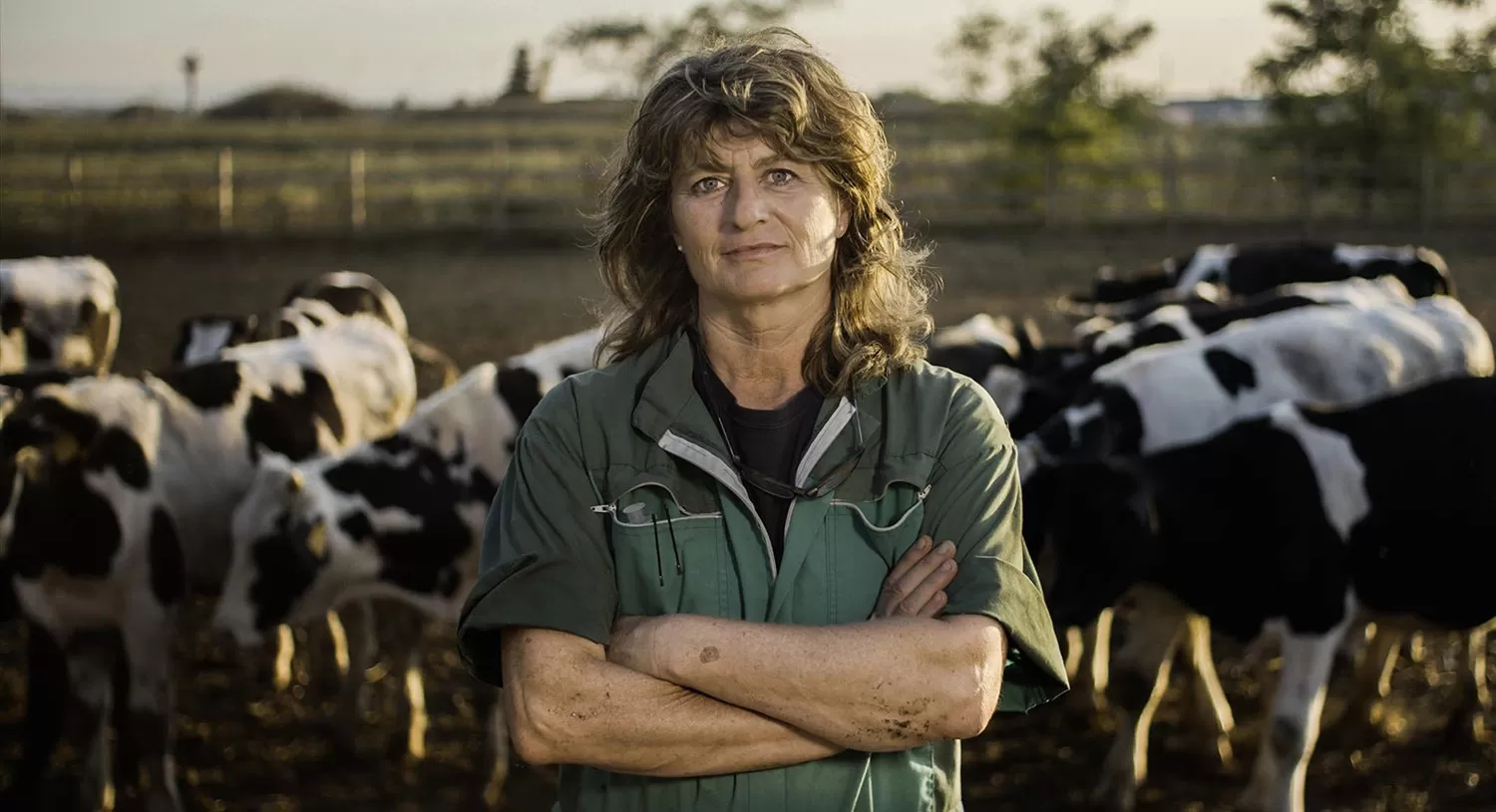 Tafí Viejo: sigue celebrando el cine medioambiental virtual             