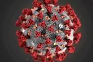 Coronavirus: el mundo supera los 100 millones de casos