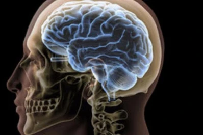 Eventos genéticos que jugaron un rol crucial en la biología del cerebro de nuestra especie