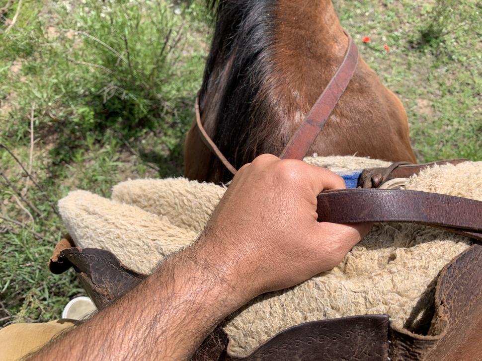 CON MANO FIRME. Sujetar bien la rienda del caballo es fundamental para guiar al animal durante el recorrido.  