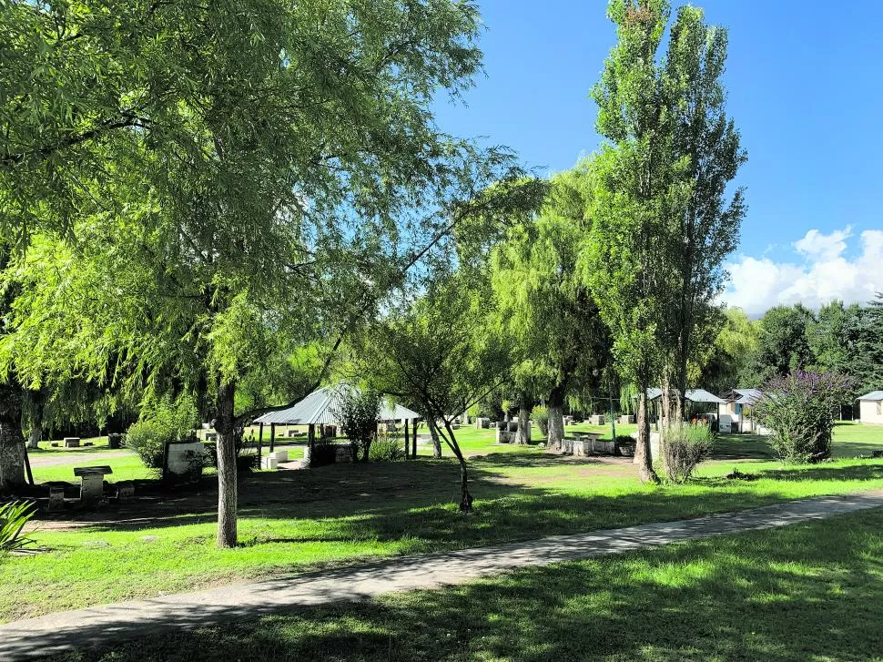 VERDE Y SOMBRAS. Combinación privilegiada de espacios a pleno sol, sombras y mucho verde para instalar carpas o disfrutar de un día de relax. 