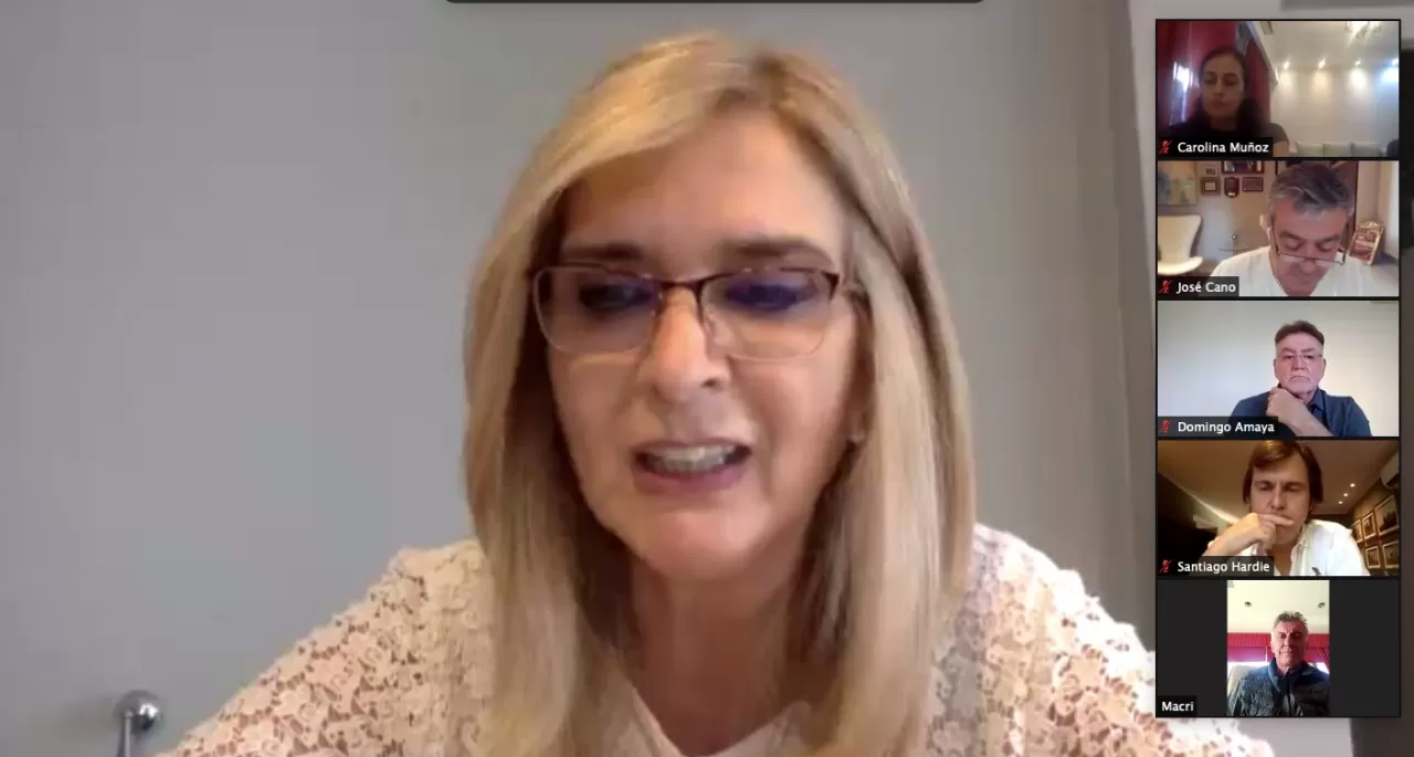 ELÍAS DE PÉREZ. Senadora nacional, UCR-Juntos por el Cambio. Foto Twitter