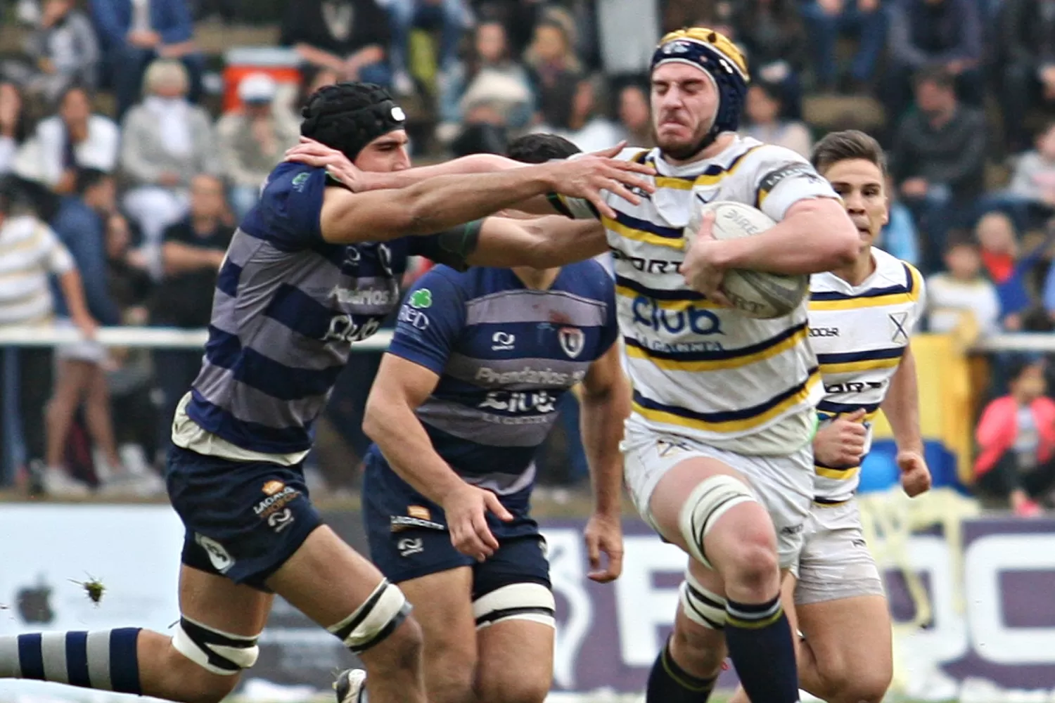 La vuelta del rugby aparece en el horizonte 