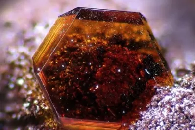 Encuentran en la Antártida un mineral que es común en Marte y raro en la Tierra