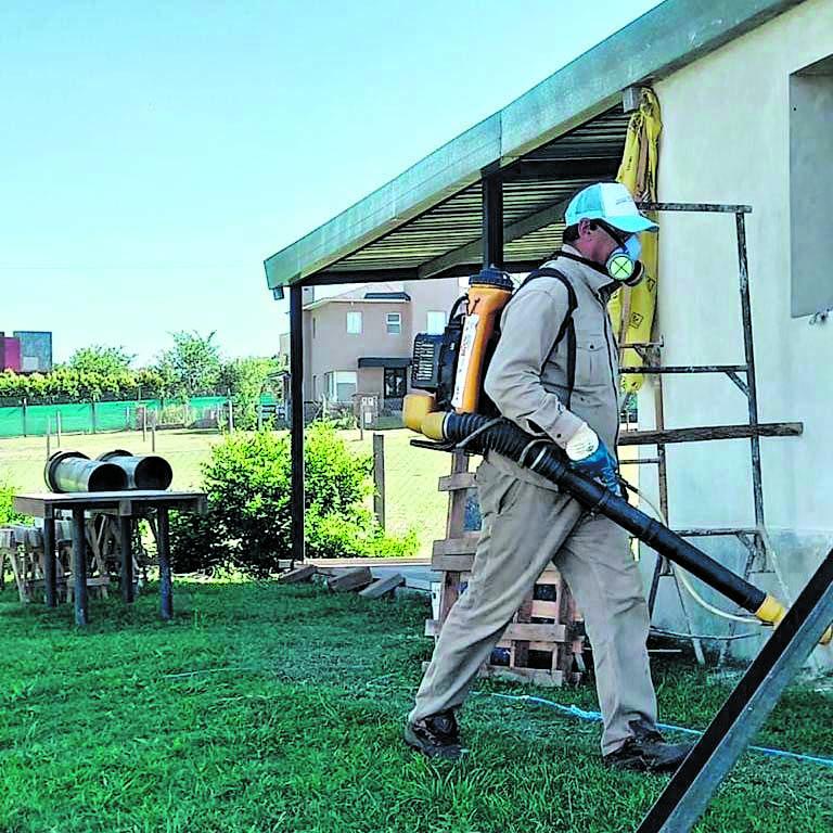 Dengue en Tucumán: no hay epidemia, pero hay más cantidad de mosquitos