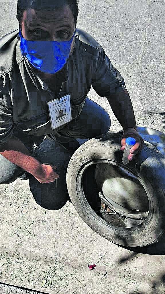 Dengue en Tucumán: no hay epidemia, pero hay más cantidad de mosquitos