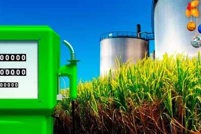 Martínez Pulido: “apostar por el biocombustible es apostar por la región”