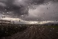 Llovió menos que en enero del año pasado