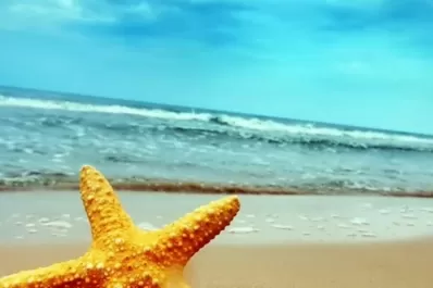 Las piedras del corazón