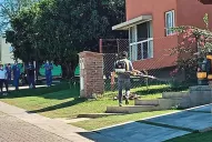 Chau mosquitos: emprendimientos para atacar al Aedes aegypti