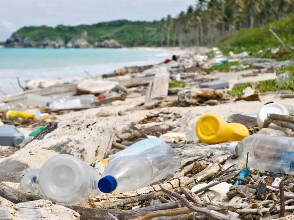  NO MÁS. Cada botella de agua tarda unos 500 años en degradarse.