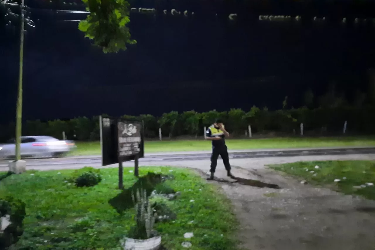 Desalojaron una fiesta clandestina con más de 200 personas en El Cadillal