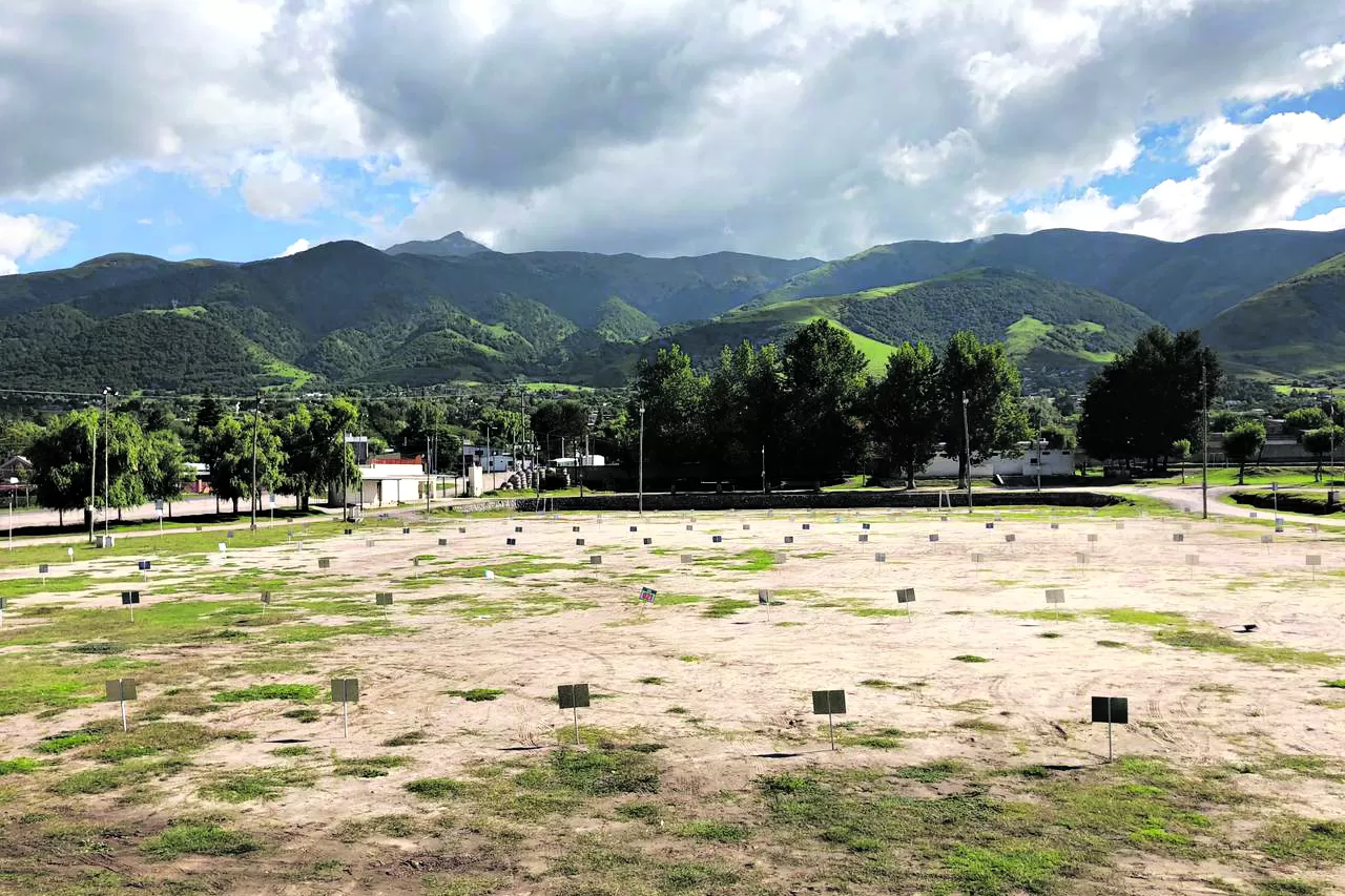 Tafí del Valle: el queso tendrá su fiesta, pero será virtual