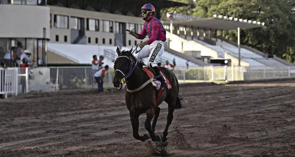 EXPERIMENTADO. El jinete José Vizcarra viene de triunfar con Días Felices, con Galgo Luca y con el tordillo True Champ. ¿A quíen montará el jueves 25 en el especial?  