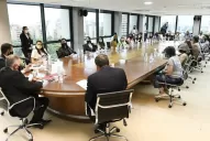 La Legislatura aprobará mañana una ley para prohibir la matanza de perros y de gatos