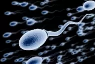 Estudios señalan que el coronavirus podría alterar la calidad del esperma