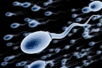 Estudios señalan que el coronavirus podría alterar la calidad del esperma
