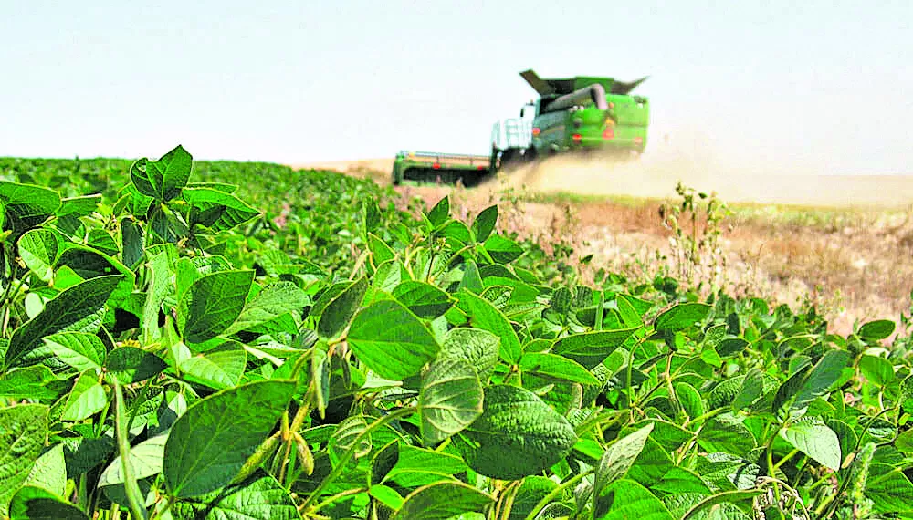 Las lluvias mejoraron las expectativas de los productores de granos