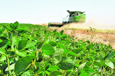 Las lluvias mejoraron las expectativas de los productores de granos