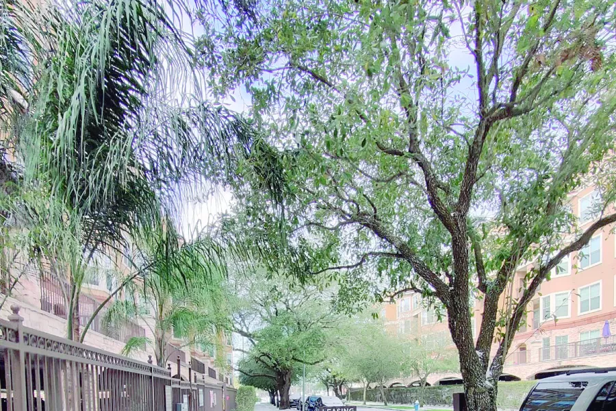 Tucumanos en la nieve: “tuvimos que dejar nuestra casa para ir a la de unos amigos” 