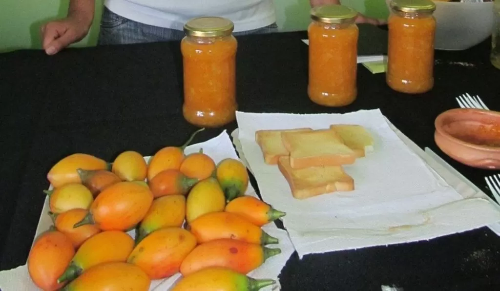 Por qué en Tafí Viejo recomiendan consumir chilto