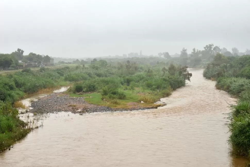 TERRENO PERDIDO. Acceder a las riberas es imposible y entraña múltiples peligros. 