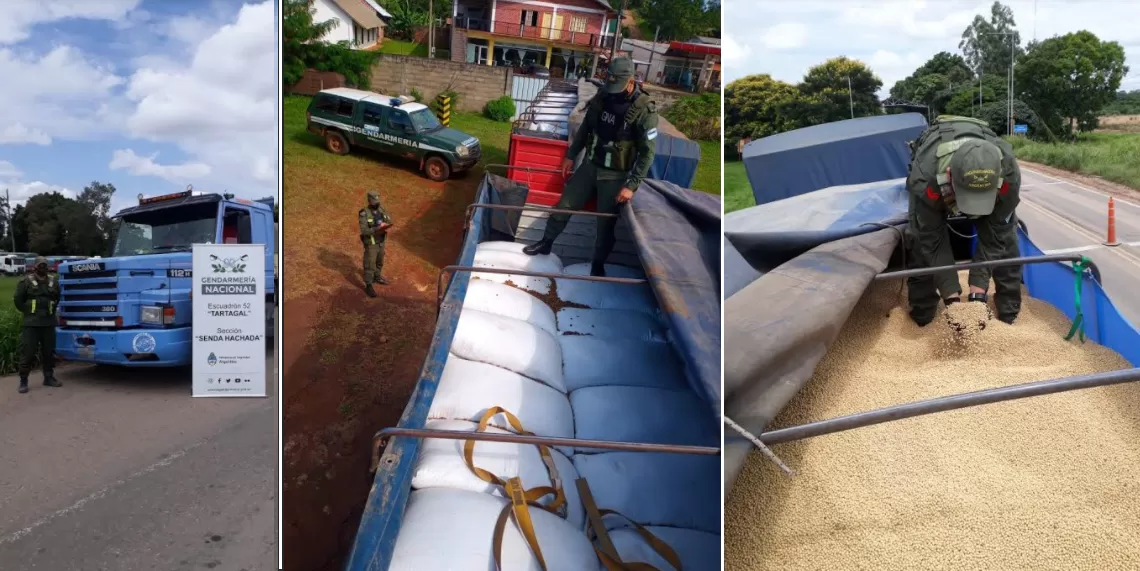Secuestraron 30.000 kilos de maíz contrabandeados desde Tucumán
