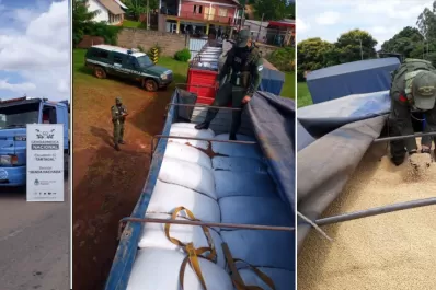 Secuestraron 30.000 kilos de maíz contrabandeados desde Tucumán