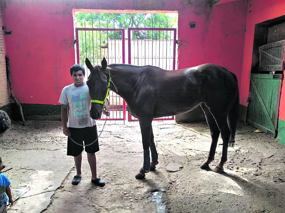 LISTA PARA DAR PELEA. Doble Alegría será la única yegua que competirá el domingo en el especial de 1.800 metros. 