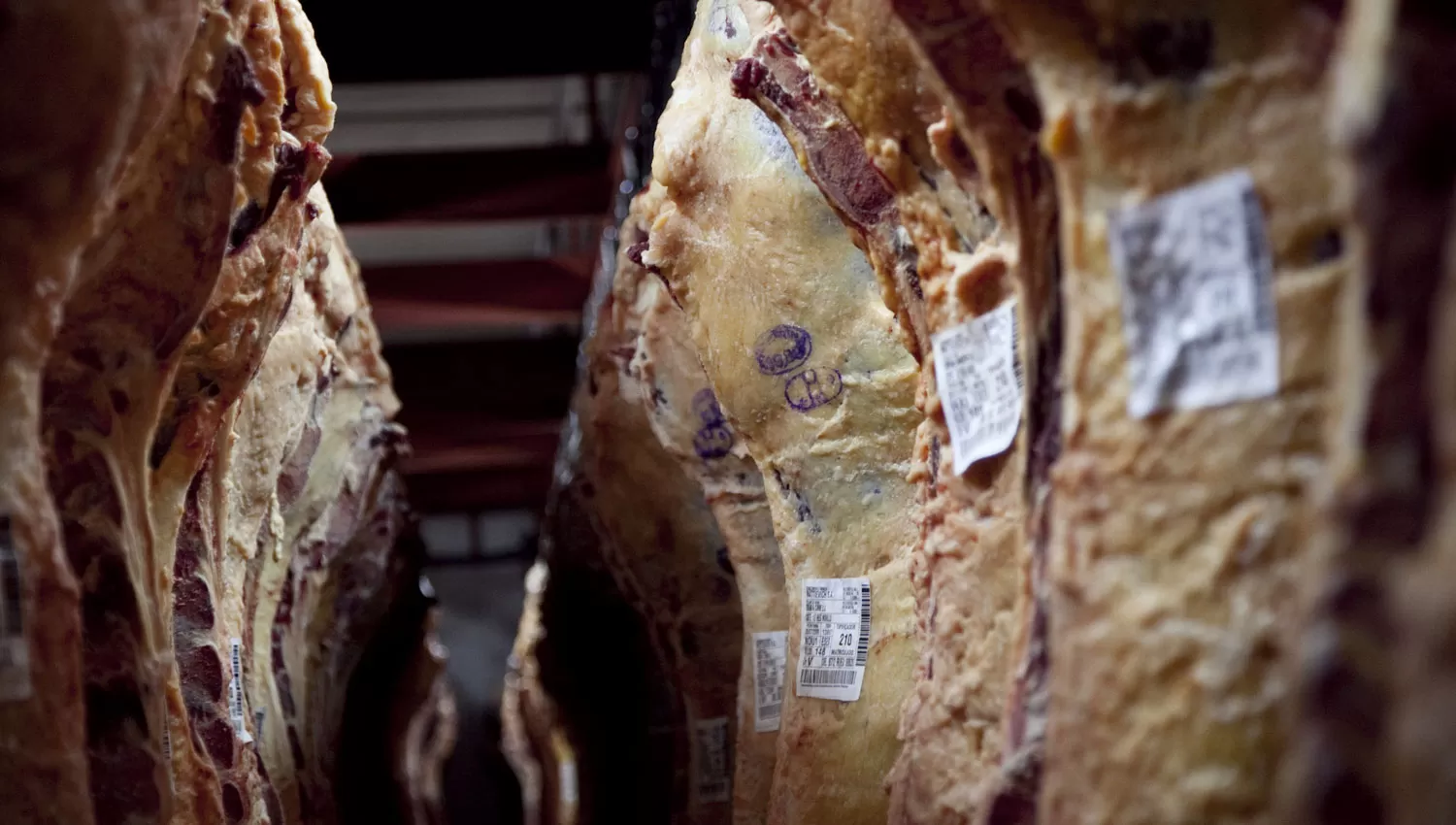 PRODUCCIÓN DE CARNE. (ARCHIVO)