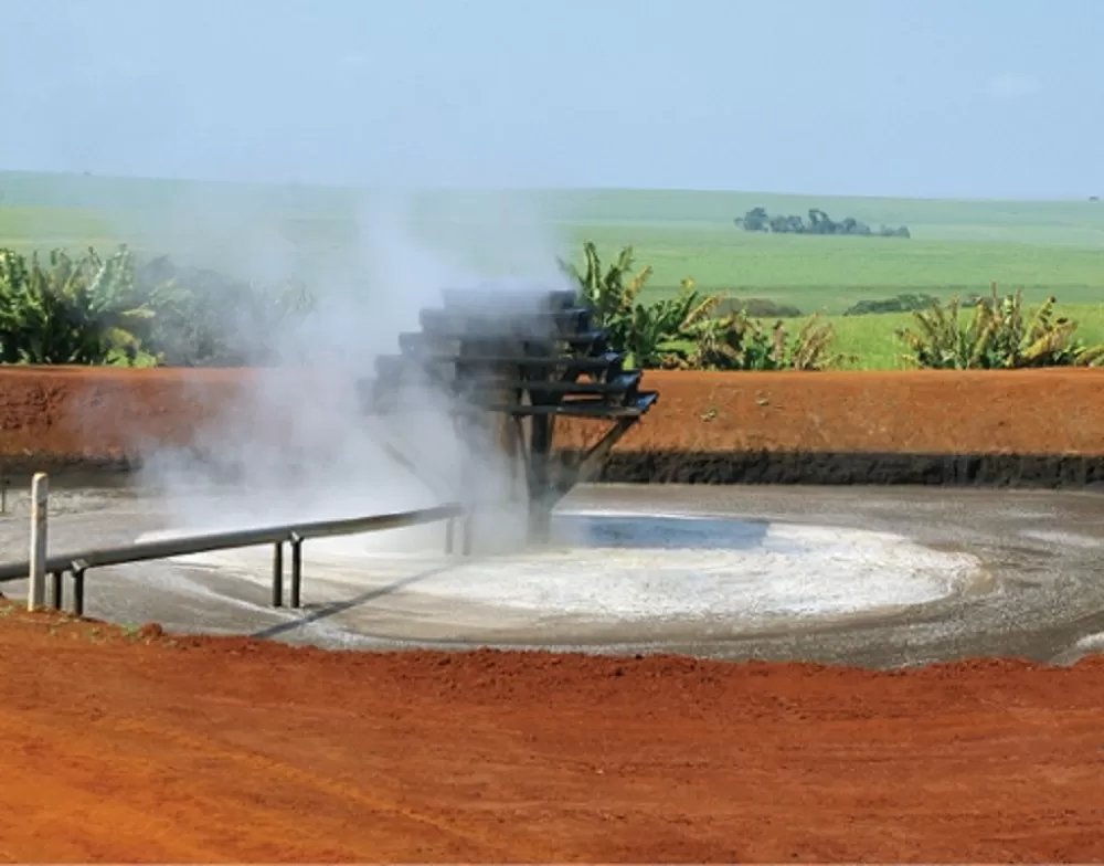 DESAFÍO. La vinaza contiene alto contenido de materia orgánica y elevada salinidad. La Eeaoc se propone transformarla en un subproducto con valor agregado.  