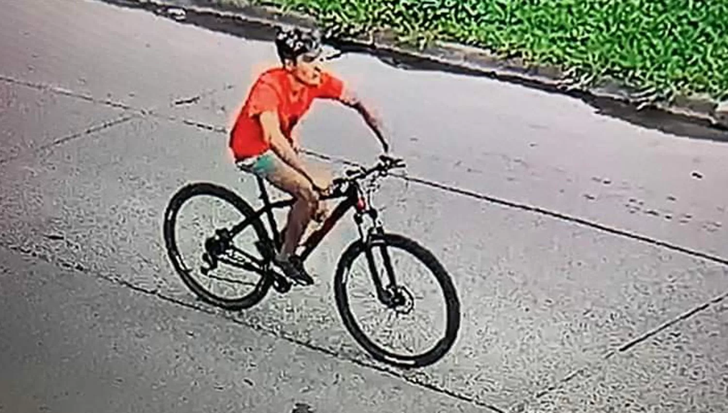 LA PRUEBA. Una imagen de Peladito permitió esclarecer el hecho. 