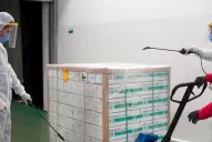 Esto es lo que se sabe sobre la vacuna china que se distribuirse en Argentina