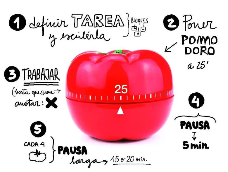 PLANIFICACIÓN. El sistema de trabajo consiste en dividir el tiempo en unidades de 20 a 25 minutos de estudio, un descanso de cinco y luego retomar. 