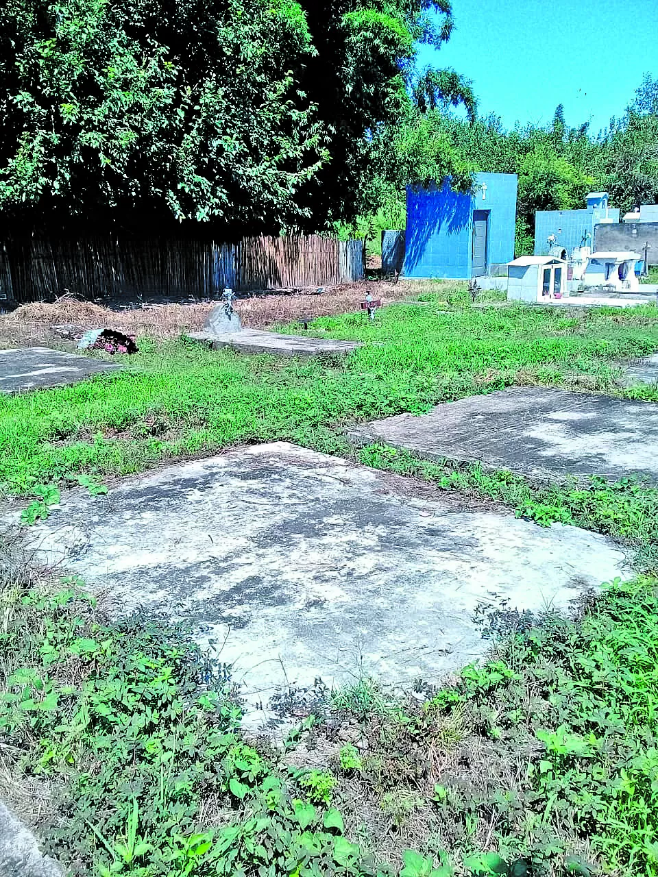 El cementerio es como patio de las viviendas en Mancopa