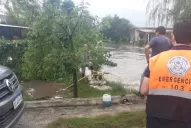 La tormenta causó voladuras de techos y caídas de árboles en el interior tucumano